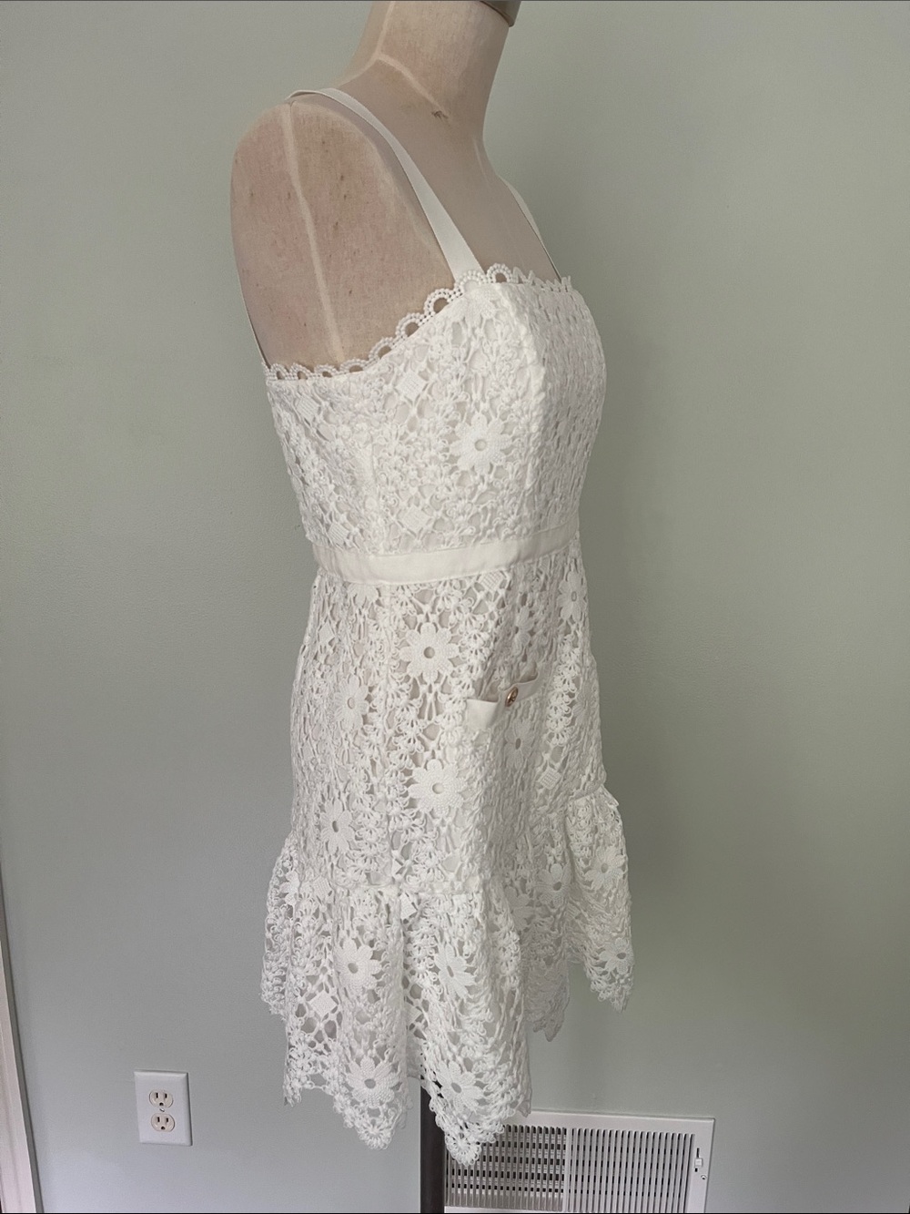 Saylor Verena Lace Mini Dress - Picture 9 of 11